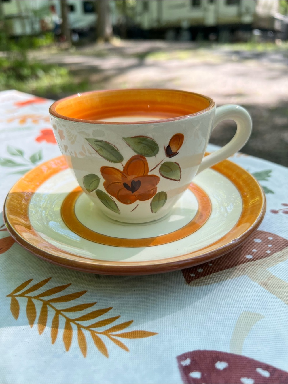 Stangl Pottery Bittersweet Hand Painted Tea Cup Saucer Set  Orange Ivory Green